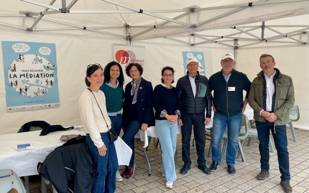 Journée CDAD31- 03